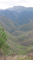 13-IMG 7647