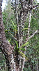 IMG 9787